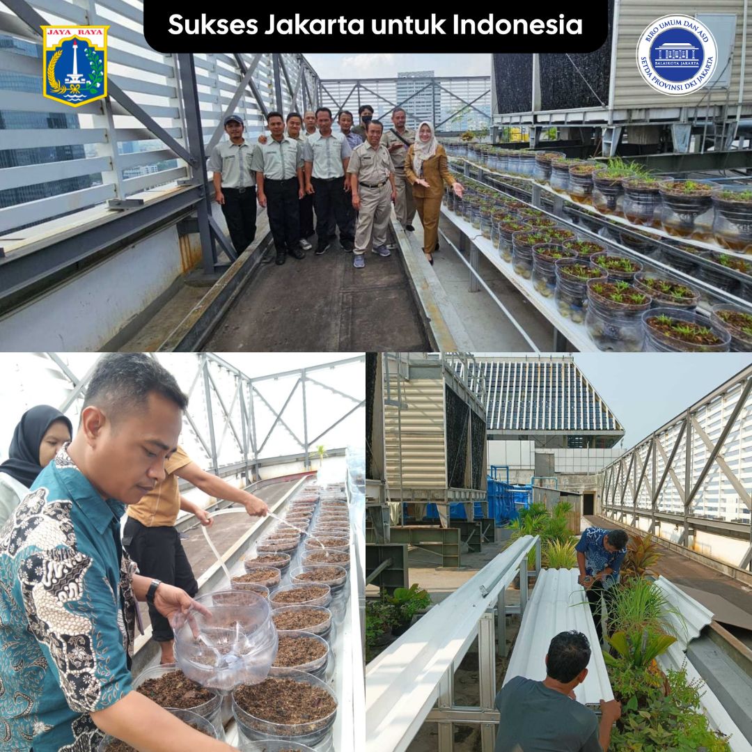 Rooftop Garden Balaikota DKI Jakarta
