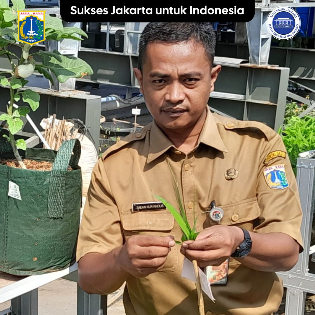 Bapak Saean