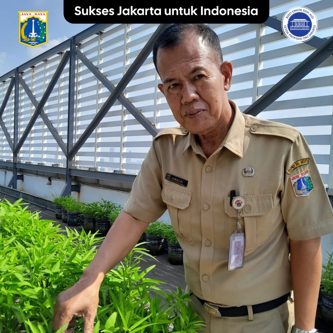 Pak Anshori