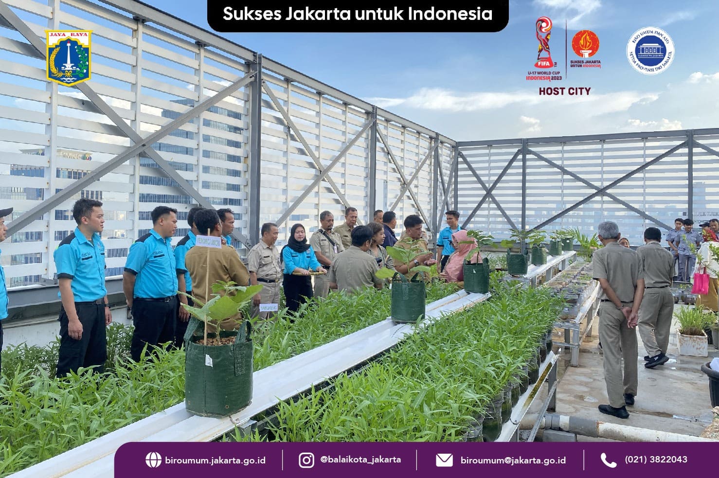 5/12/2023 Panen kangkung di Rooftop Garden Hijau Balaikota DKI Jakarta, blok H, lantai 22 foto